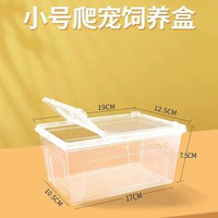 烏龜冬眠箱爬寵專用保濕保暖飼養箱巴西龜草龜苔蘚椰土過冬保溫箱