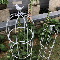 鐵藝植物攀爬架 山烏龜鐵線蓮藍雪月季花架子 爬藤架 造型小支架支撐桿