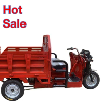 800W/1000W/1200W Electric Cargo Tricycle For Adult OEM Tricycle With Custom Logo