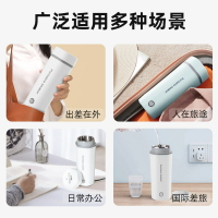 經典款美規110V電熱燒水杯水壺跨境經典款歐規英規220V便攜電