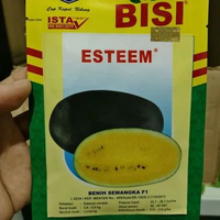 Benih semangka ESTEEM F1 20 gram semangka inul lonjong kuning dari kapal terbang
