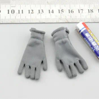 D80147 German Air Force 1:6 Scale Soldier Grey Gloves Model for 12"