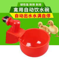 養殖雞鴨鵝自動飲水碗 飲水器 鴿用自動飲水碗 鵪鶉飲水器 喝水碗