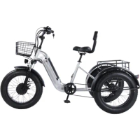 3 Wheel Electric Bike For Adults 500W 48V 20 Inch Fat Tire Electric Cargo Bicycle for Lithium Battery with Big Basket