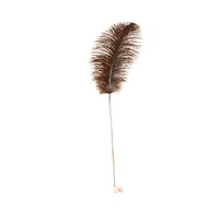 เบ็ดตกแมว สำหรับแมว รุ่น Mini Ostrich Feather สีีน้ำตาล 150 g