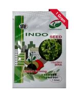 Benih Selada Brava Batavia Lettuce Enza Zaden Indogreen Indoseed 1 Gr
