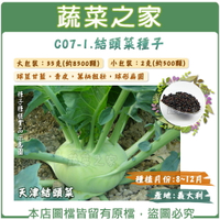 【蔬菜之家】C07-1.結頭菜種子(共有2種包裝可選)