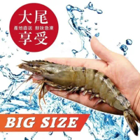 【海肉管家】嚴選鮮凍大草蝦X5盒(每盒12-14隻/約280g±10%)