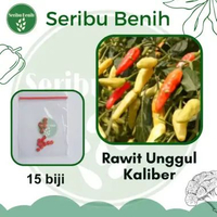 15 Benih Cabe Rawit Kaliber Tahan Virus dan Layu - Bibit Cabai Unggul Wijitani Kemasan Repack