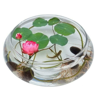 水仙花盆玻璃透明水培圓形花瓶銅錢草碗蓮花盆魚缸圓形金魚缸