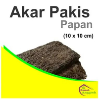 Media Akar Pakis Papan Lempeng 10 x 20 anggrek sedang besar 10x10