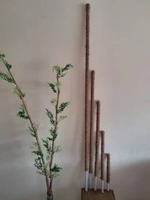 turus penyangga tanaman tali sabut 150cm