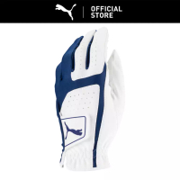 PUMA PUMA Flexlite Left Hand Men's Golf Glove White-Monaco Blue
