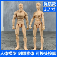 人體模型美術人偶繪畫素體工具頭雕刻雕3.7寸10cm男女關節可動