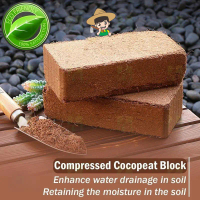Compressed cocopeat block brick/cob coconut coir planting coconut Bran coconut powder brick A 600g±