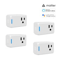 Matter Smart Plug Apple Homekit WiFi Socket Outlet Wall Plug Adapter Support Alexa Siri Hey Google Tuya Apps