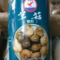 Jamur chauku jamur merang dalam kaleng425g byDZ