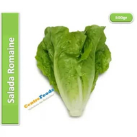 Salada Romen Segar - Sayur Selada Romaine / Selada Cos / Selada Panjang / Romaine Lettuce Fresh | 50