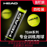 {台灣公司貨 可打統編}HEAD海德Team4個裝網球有壓球訓練球練習球TOUR XT專業比賽用球