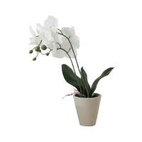 Informa Bunga Artifisial 56 Cm Anggrek - Putih