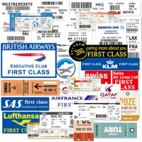 30 PCS Airline Stickers Boarding Check Air Ticket Stickers Laptop Stickers Decals for Water Bottle Laptops Ipad Cars Luggages