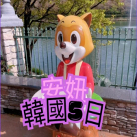 【喜鴻假期】【高雄出發．安妞韓國５日】不走人蔘保肝、樂天世界、北村韓屋村、三清洞、明洞逛街