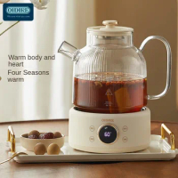 OIDIRE Glass Electric Kettle Portable Electric Hot Water Kettle with Boil-Dry Protection and Auto Shut-Off Function 220V