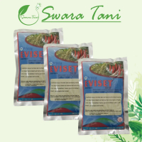 Q&J Insektisida Kontak Eviset 50 Sp Tiosiklam Hidrogen Oksalat 100Gram SaleNx673