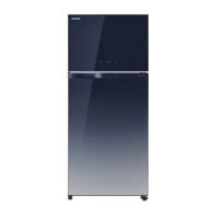 【TOSHIBA 東芝】608L 變頻無邊框鏡面電冰箱 GR-AG66T(GG) 玻璃藍