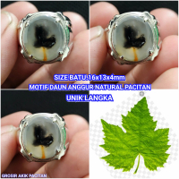 MOTIF DAUN ANGGUR NATURAL PACITAN LANGKA