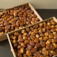 Kurma Sukari / kurma basah Dus 3 kg