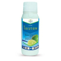 Gloriashop168 โอเบรอน ® (Oberon®) ชื่อสามัญ:สไปโรมีซิเฟน (spiromesifen) Pesticide แนะนำ