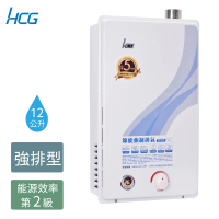 【HCG 和成】12公升強制排氣熱水器-2級能效-原廠安裝-GH1255(NG1/FE式)