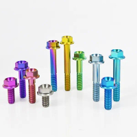 Bolt titanium GR5 / TC4, M6X10MM-70mm, bebibir kepala heksagon, skru M6