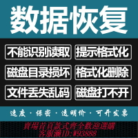 {台灣公司貨 可打統編}電腦固態移動硬盤數據恢復U盤維修內存SD卡照片文件遠程修復服務