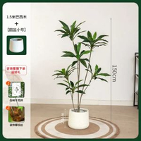模擬綠植物盆栽天鵝絨巴西木高階輕奢北歐風室內客廳落地裝飾擺件