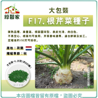 【綠藝家】大包裝F17.根芹菜種子0.28克(約620顆)