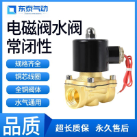 【現貨】德國進口電磁閥220v水閥24v閥門電動12v常閉4分6分1寸水管電子閥【博野五金】