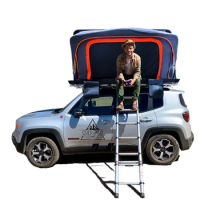 Chinese Factory 2 Person Roof Tent Car Hard Shell Roof Top Tents
