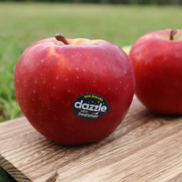 【阿成水果】紐西蘭Dazzle 蘋果80粒/17.5kgx1箱(純淨_脆甜_無上蠟_冷藏配送)