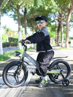 鳳凰兒童自行車3-4-6-8-10歲小孩單車男孩腳踏車男寶寶鎂合金童車