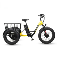48v 350w Customized Adult Electric tricycle