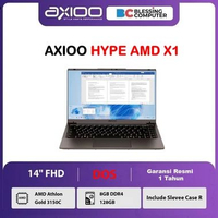 AXIOO HYPE AMD X1 Athlon Gold 3150C 8GB 128GB DOS TITANIUM BROWN