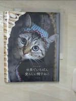 【書寶二手書T1／美工_AY3】世界?????愛???帽子??_日文_??????? / 佐藤美?