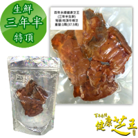 【百年永續健康芝王】牛樟芝/菇  三年半特頂  生鮮品(37.5g /1兩)