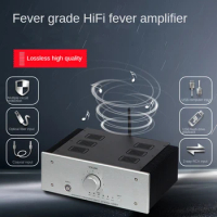 RNABAU Fever Grade HiFi Power Amplifier, Gold Sealed Tube, High-Power Home Fiber Optic Coaxial Bluetooth 5.0 USB