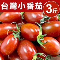 【甜露露】台灣小番茄3台斤(3台斤±10%)