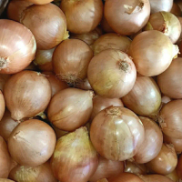Bawang bombay/bombai segar 1 kg.