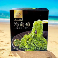 【OTOSAN】鹽漬海葡萄 海葡萄沙拉 涼拌海葡萄 素食可 泡開即食 10包(泡開即食 綠色魚子醬)