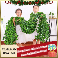 (Beli 1 gratis 1) daun rambat/daun jalar/daun sulur/daun Ivy anggur bulat Srigading semangka Plastik